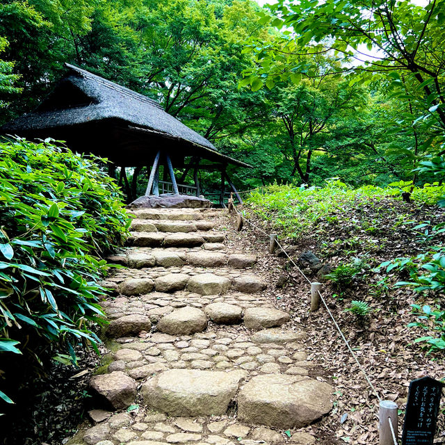 〜東京都〜六義園(りくぎえん)美しい日本庭園！穴場スポット