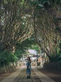 【茨城】トトロが出てきそうな神社！