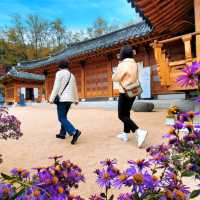 Cheongun Literature Library: A Hidden Gem in Seoul 📚🇰🇷