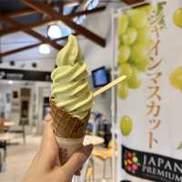 【島根】シャインマスカットソフトクリームが美味しい！