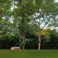 🌳คาเฟ่ในสวน บรรยากาศดี @กาญจนบุรี