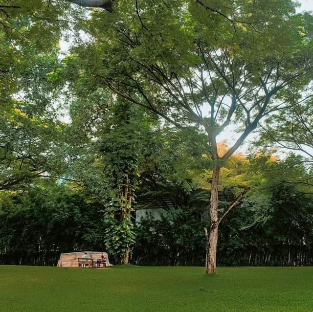 🌳คาเฟ่ในสวน บรรยากาศดี @กาญจนบุรี