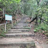 【岡山】備中松山城