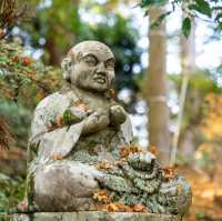 Explore the Serene Beauty of Shikoku