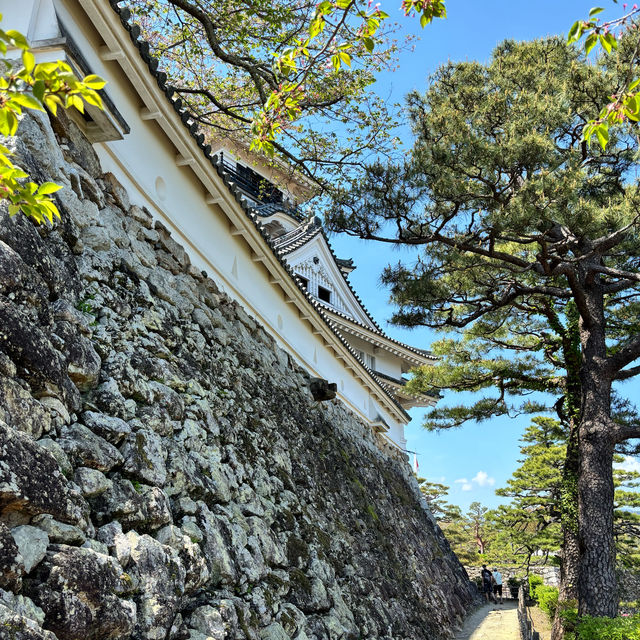 四國遍路+瀨戶內海單車遊