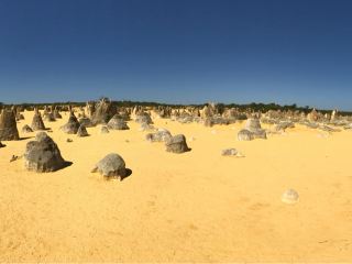 เพิร์ธ🦘 - จุดเริ่มต้นที่ดีที่สุดในการเดินทางในออสเตรเลียตะวันตก🇦🇺