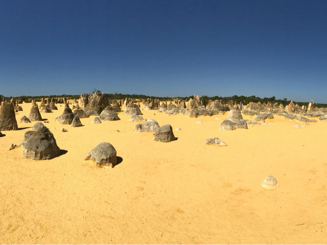 柏斯🦘 - 西澳大利亞🇦🇺旅遊最佳起點