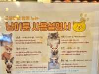 하남 고양이 카페: ☕️냥이툰😸