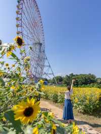【東京都/葛西臨海公園】今だけ無料で楽しめるひまわり畑とキラキラの世界