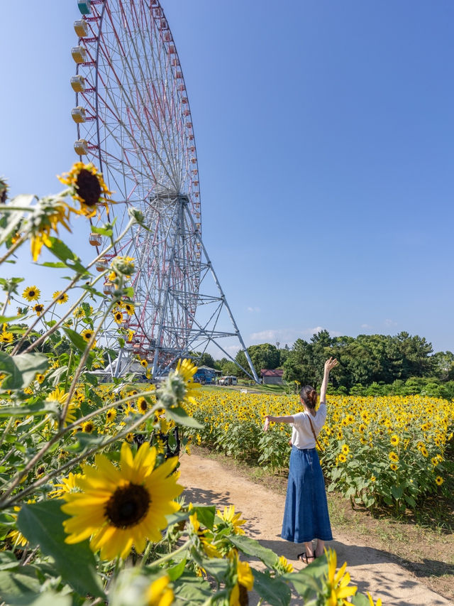 【東京都/葛西臨海公園】今だけ無料で楽しめるひまわり畑とキラキラの世界