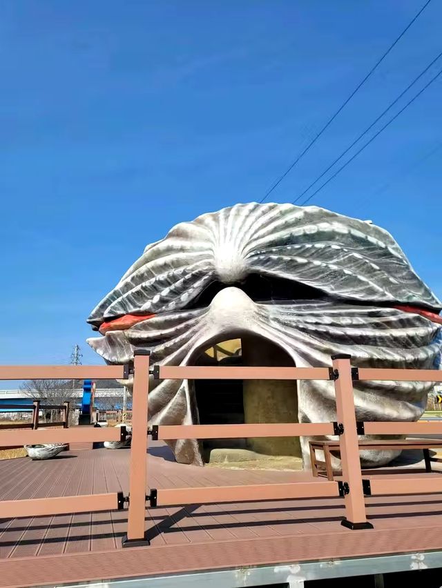벌교에서 꼭 가볼만한 보성 여행지🐚