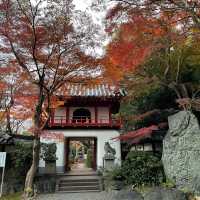 【名古屋】探索綠色大佛：心靈與自然的和諧之美