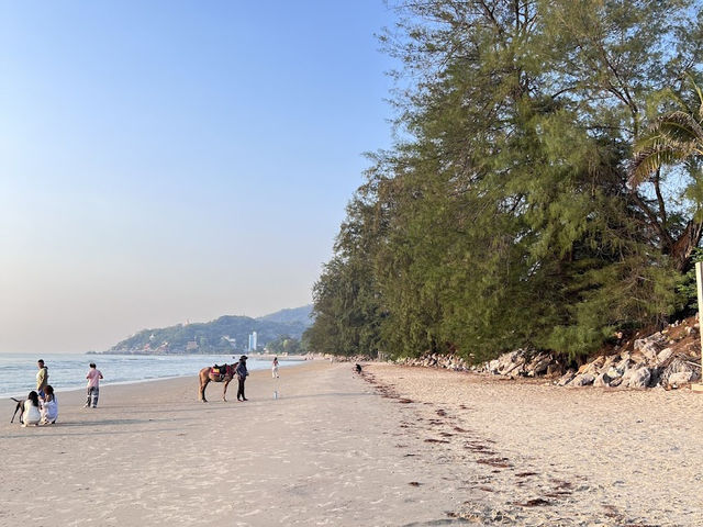  🏖️✨Best Western Plus Carapace Hotel Hua Hin