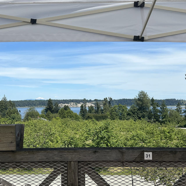 Cidery with a breathtaking view 