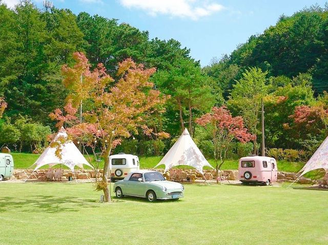수영장이 있는 감성 글램핑🏕️