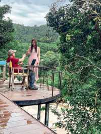 🌿Stay Wild & Café ที่พักและคาเฟ่ริมลำธารเชียงใหม่