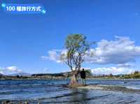 紐西蘭南島-佇立於瓦納卡湖中的孤獨之樹：that wanaka tree