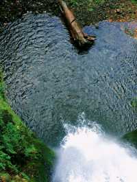 Finally Saw the Multnomah Falls