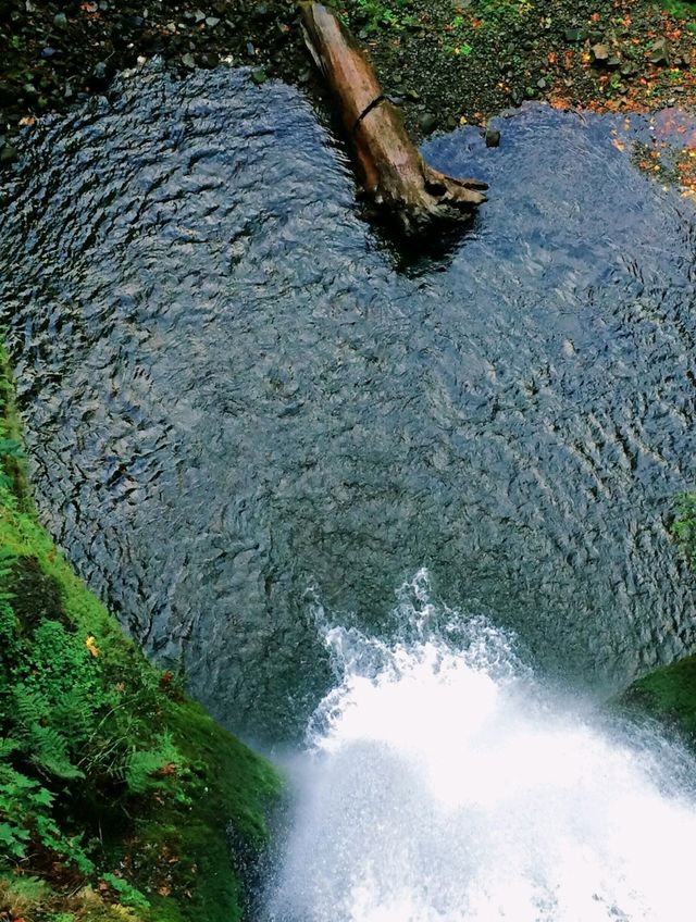 Finally Saw the Multnomah Falls