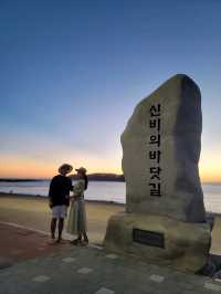 다양한 부대시설이 있는 보령 무창포해수욕장🏖