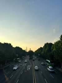 🇰🇷 首爾No.1 漢江公園 這景色真的是排第1名🌳