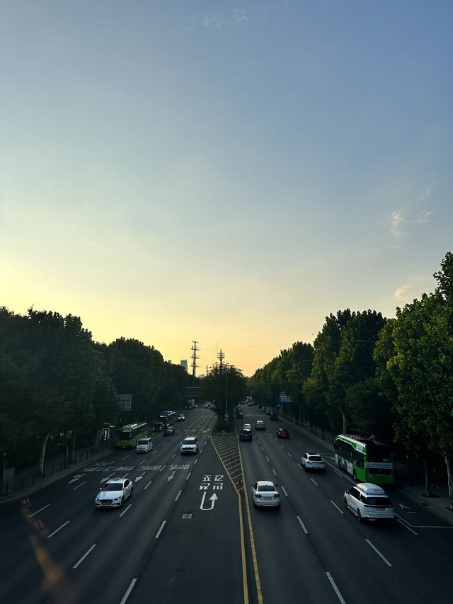 🇰🇷 首爾No.1 漢江公園 這景色真的是排第1名🌳