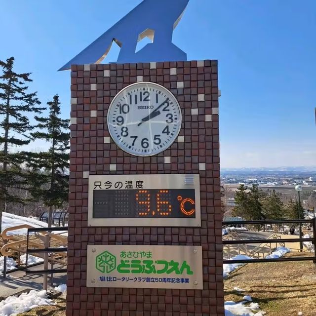 【旭山動物園:北海道旭川市】近くで生き生きとした動物を見ることができる動物園✨
