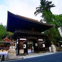 琵琶湖疏水•八幡堀•日牟禮八幡宮