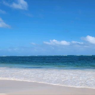 The incredibly beautiful sea.