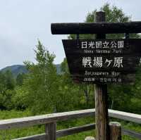 奧日光 戰場之原 徒步