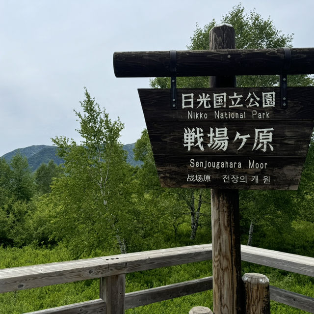 奧日光 戰場之原 徒步