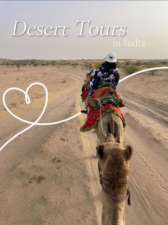 インドの砂漠ツアーはラクダに長時間乗れちゃう🐪刺激的なひととき