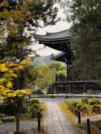 Fall Colors at Seiryo-ji Temple, Kyoto 🍁