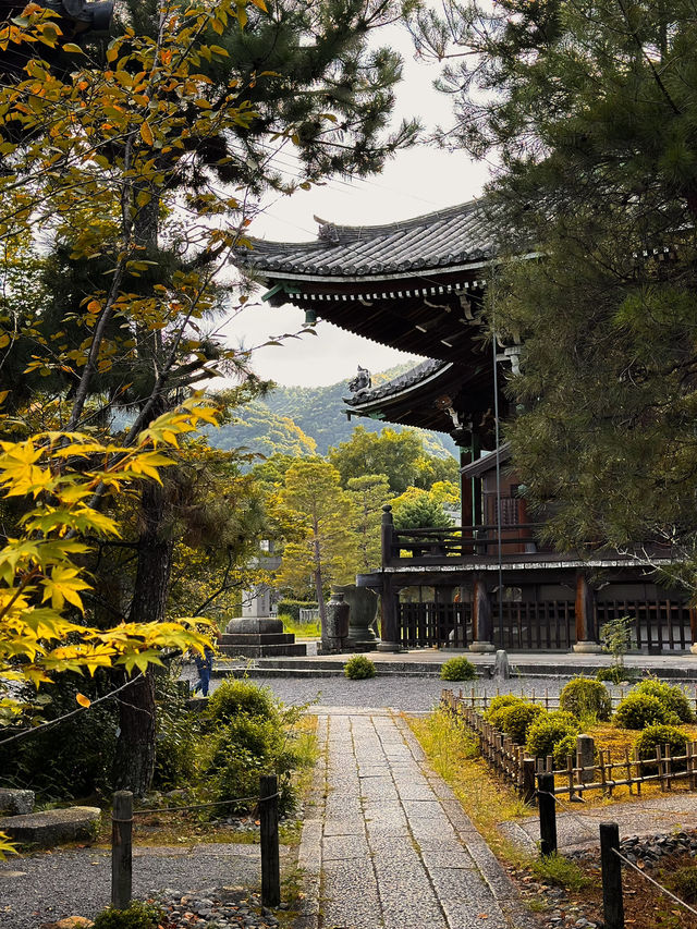 Fall Colors at Seiryo-ji Temple, Kyoto 🍁