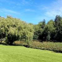 Lake Te Koo Utu, Cambridge, New Zealand