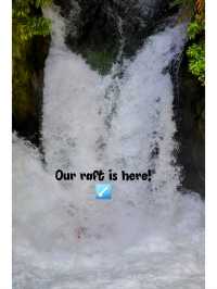 🇳🇿 Highest Commercially Rafted Waterfall in the World 📍Tutea Falls, Rotorua 🇳🇿