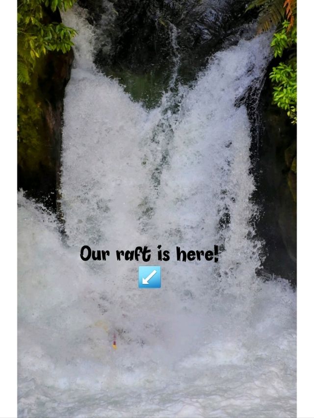 🇳🇿 Highest Commercially Rafted Waterfall in the World 📍Tutea Falls, Rotorua 🇳🇿