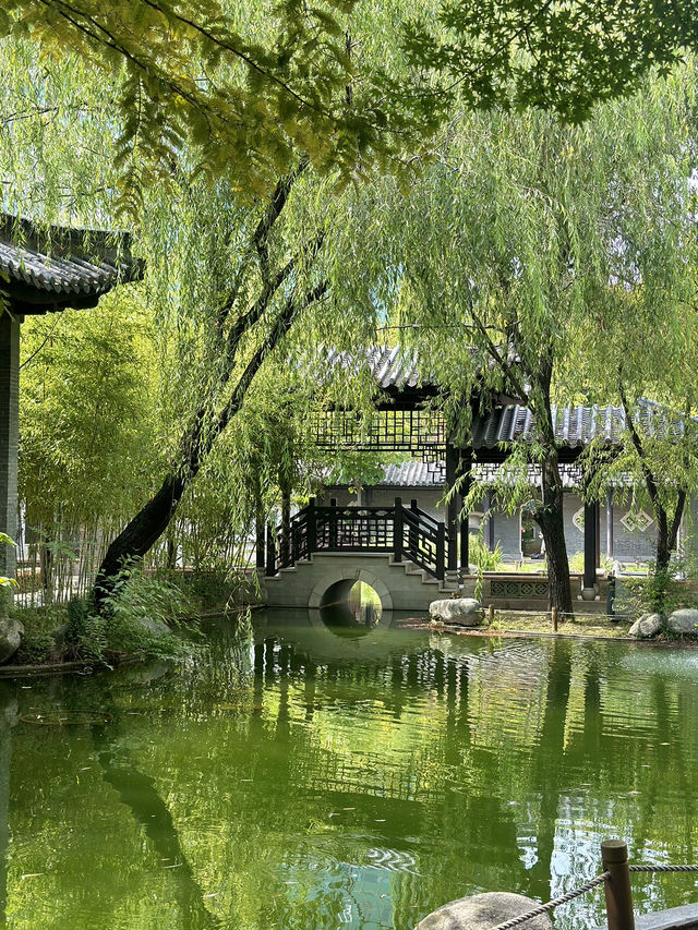 도심 속 중국식 전통공원 월화원 🌿