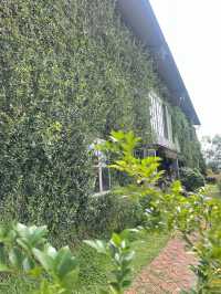 Rocha Cafe  คาเฟ่บนดอยพบพระ