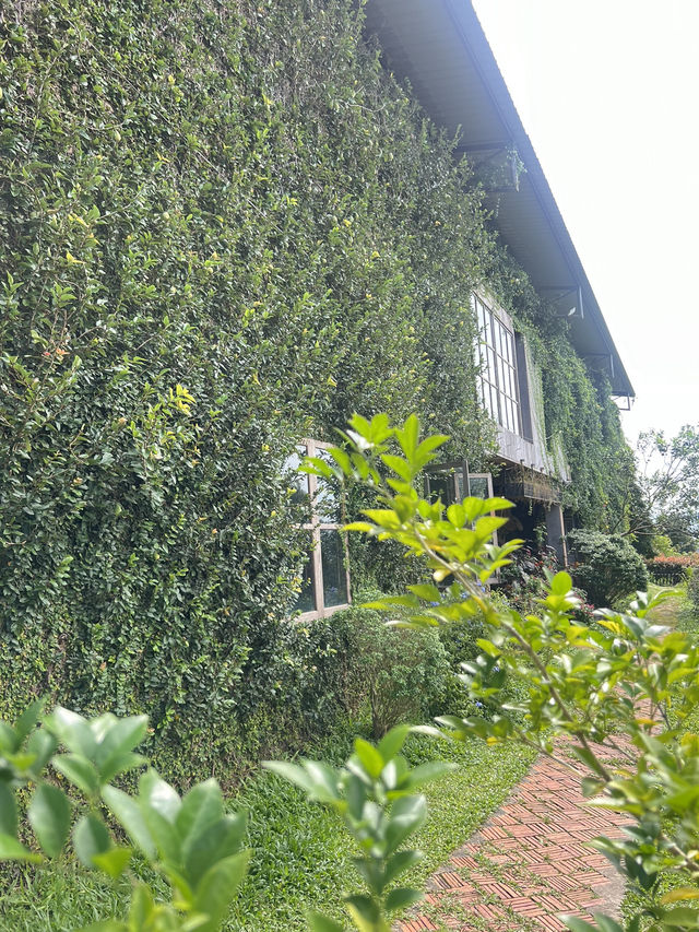 Rocha Cafe  คาเฟ่บนดอยพบพระ