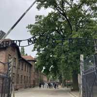 ポーランドの京都？クラクフ