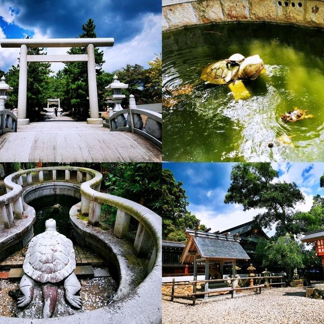 天橋立