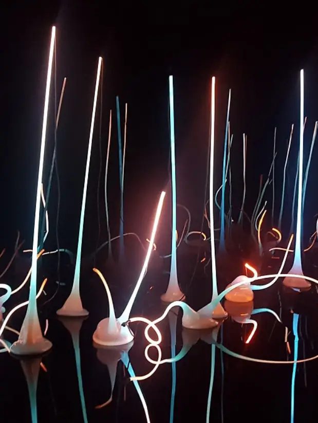Recommended visit to Chihuly Garden!