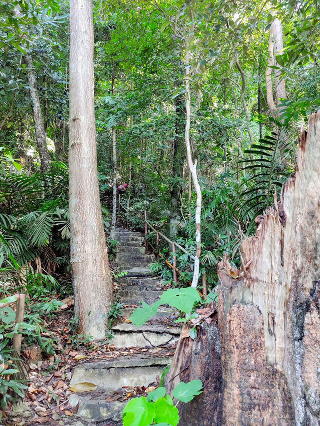 Exploring Tanjung Tuan Recreational Forest 🌿