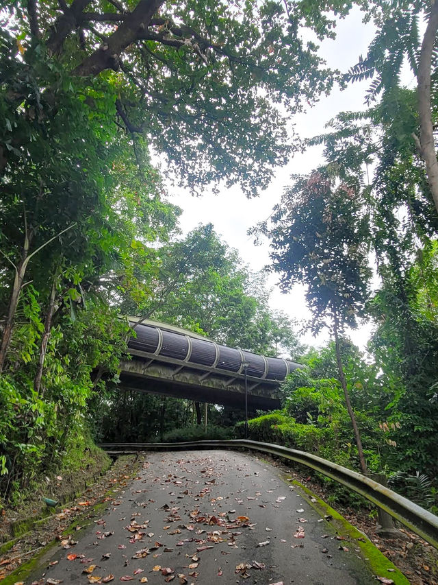 Discovering Telok Blangah Hill Park: A Tranquil Escape in Singapore 