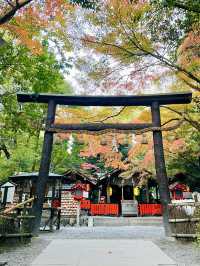 【京都府】一瞬で京都の情緒を感じる神社