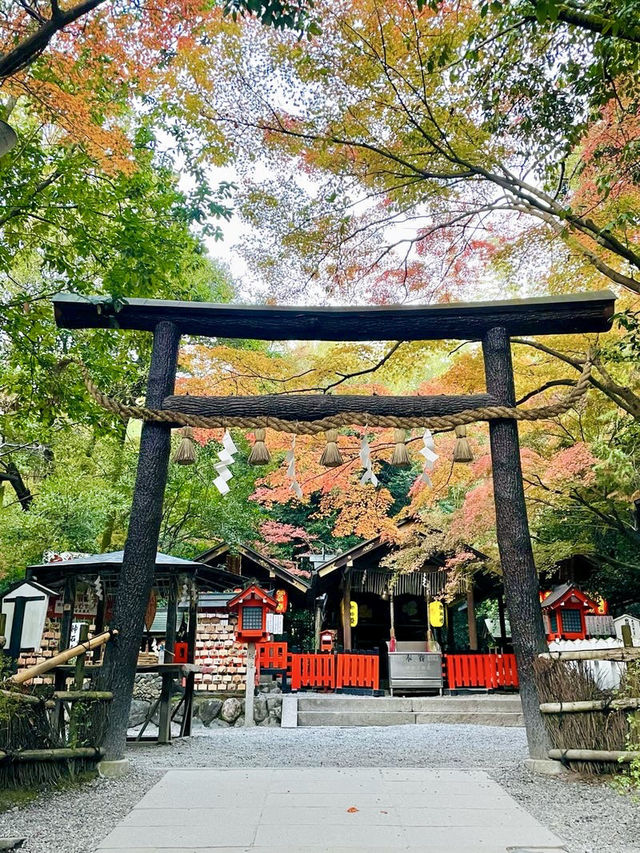 【京都府】一瞬で京都の情緒を感じる神社
