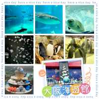 大阪海遊館-全球最大規模的水族館，有觀賞與教育意義