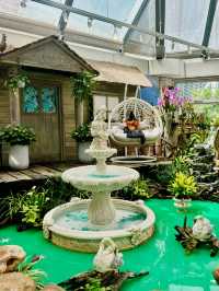 【金鐘】香港公園：期間限定香花展覽