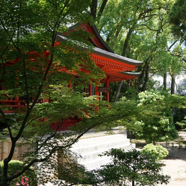 【京都/嵯峨野】写経で癒される、大覚寺